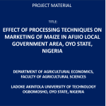 Effect Of Processing Techniques On Marketing Of Maize In Afijio Local Government Area, Oyo State