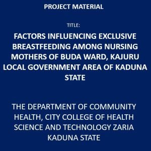 Factors Influencing Exclusive Breastfeeding Among Nursing Mothers