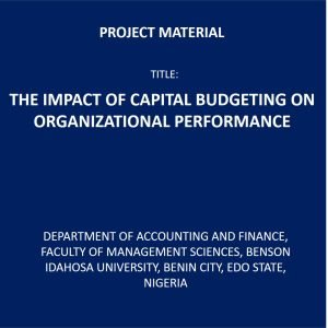 THE IMPACT OF CAPITAL BUDGETING ON ORGANIZATIONAL PERFORMANCE