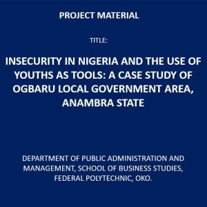 Insecurity in Nigeria and the Use of Youths as Tools