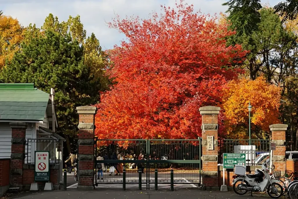 Hokkaido University MEXT Scholarships 2025