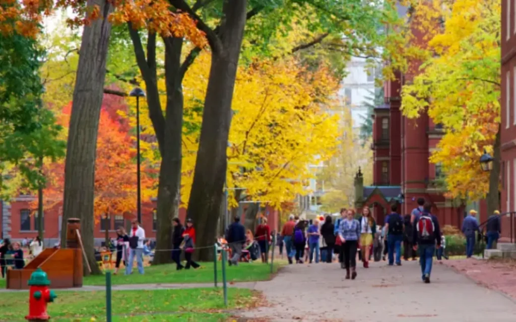 U.S. Global Undergraduate Exchange Program 2025