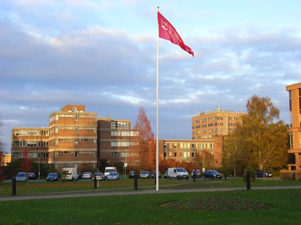 GIIDAE Empowering Change Scholarship at University of Reading 2025